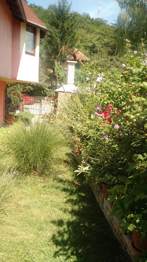 סראייבו Apartman House Annesa מראה חיצוני תמונה