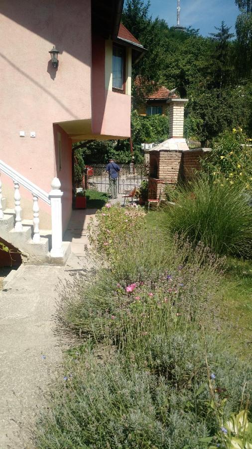 סראייבו Apartman House Annesa מראה חיצוני תמונה