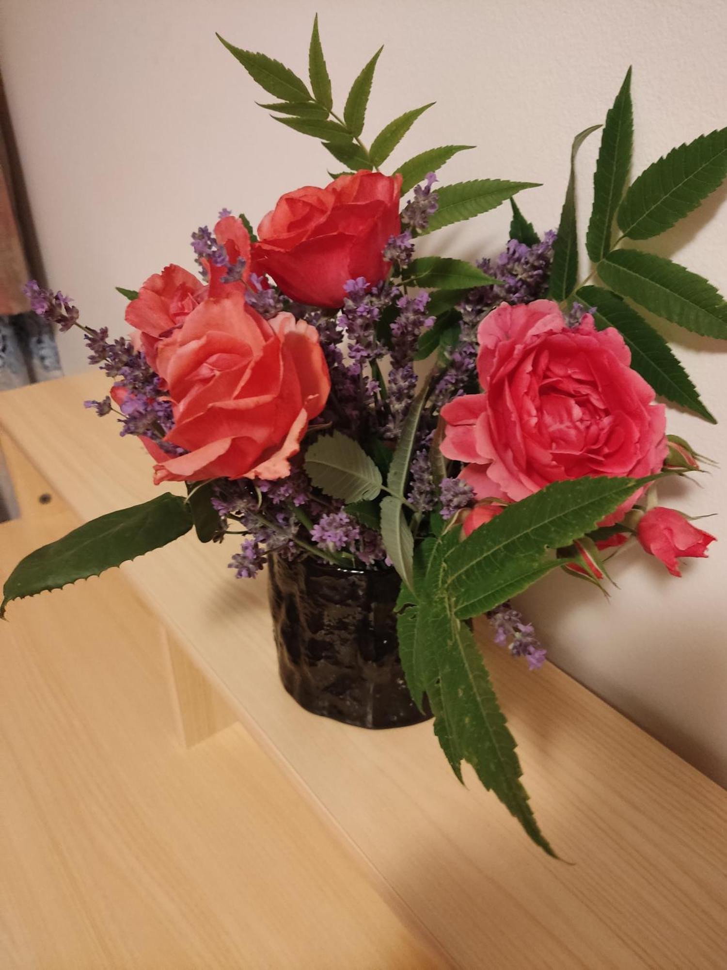 סראייבו Apartman House Annesa מראה חיצוני תמונה