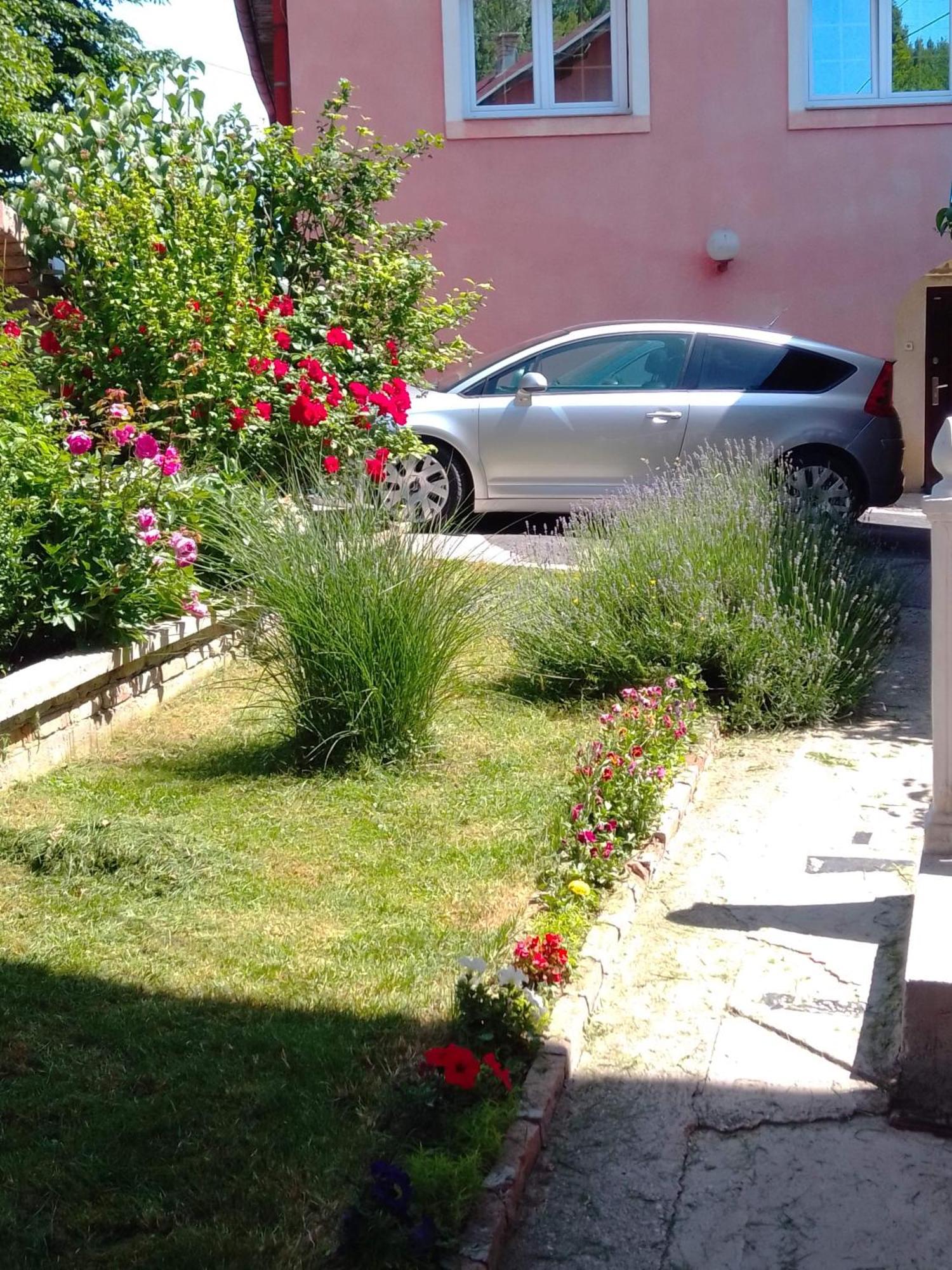 סראייבו Apartman House Annesa מראה חיצוני תמונה